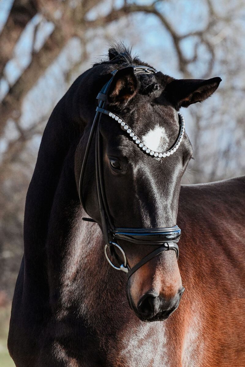 DSC 6210  scaled - Fleur d'Amour