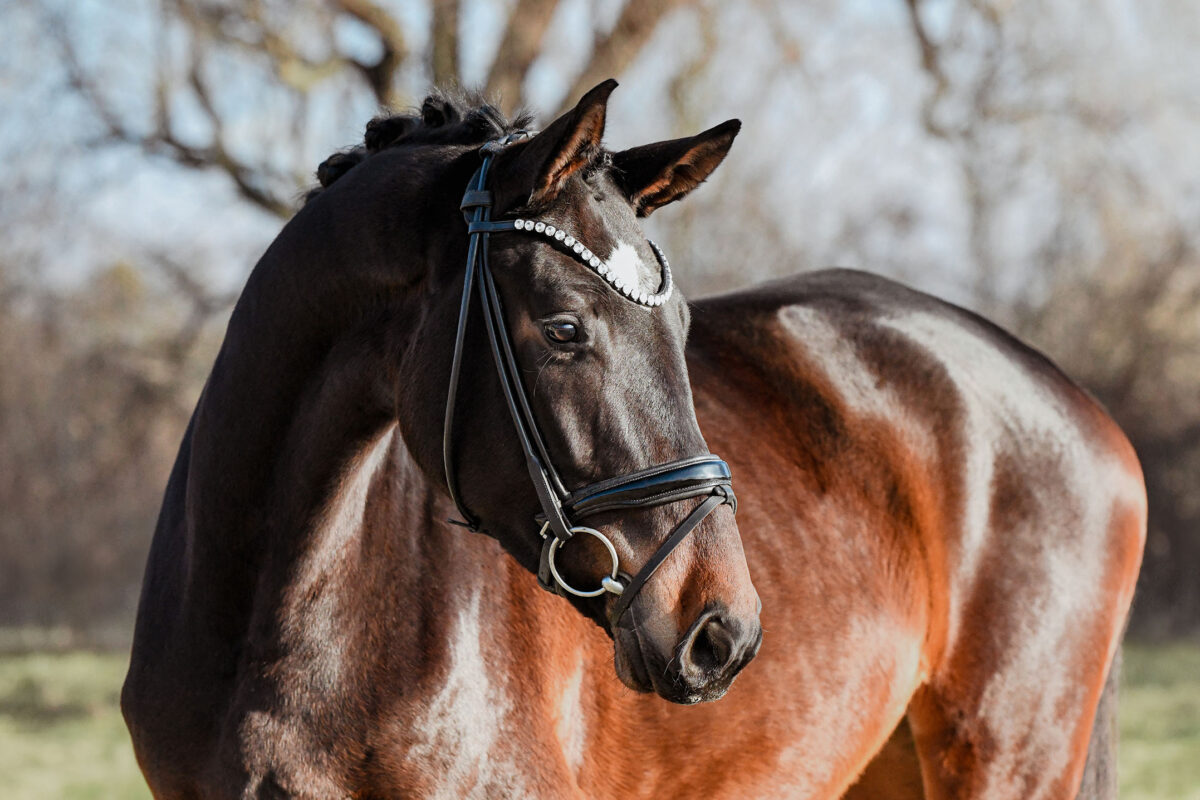 DSC 6247 scaled - Fleur d'Amour