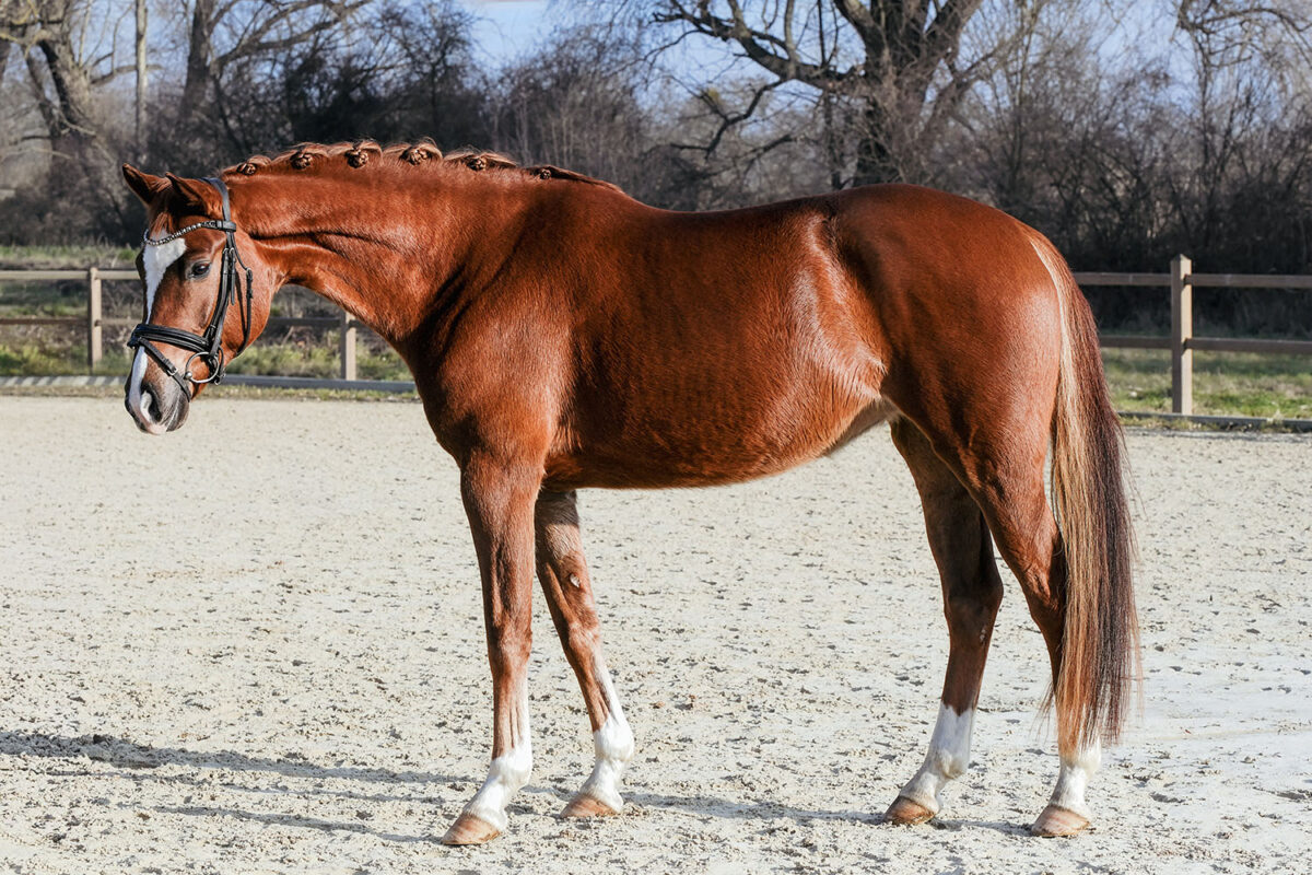 DSC 6272  scaled - Frederike