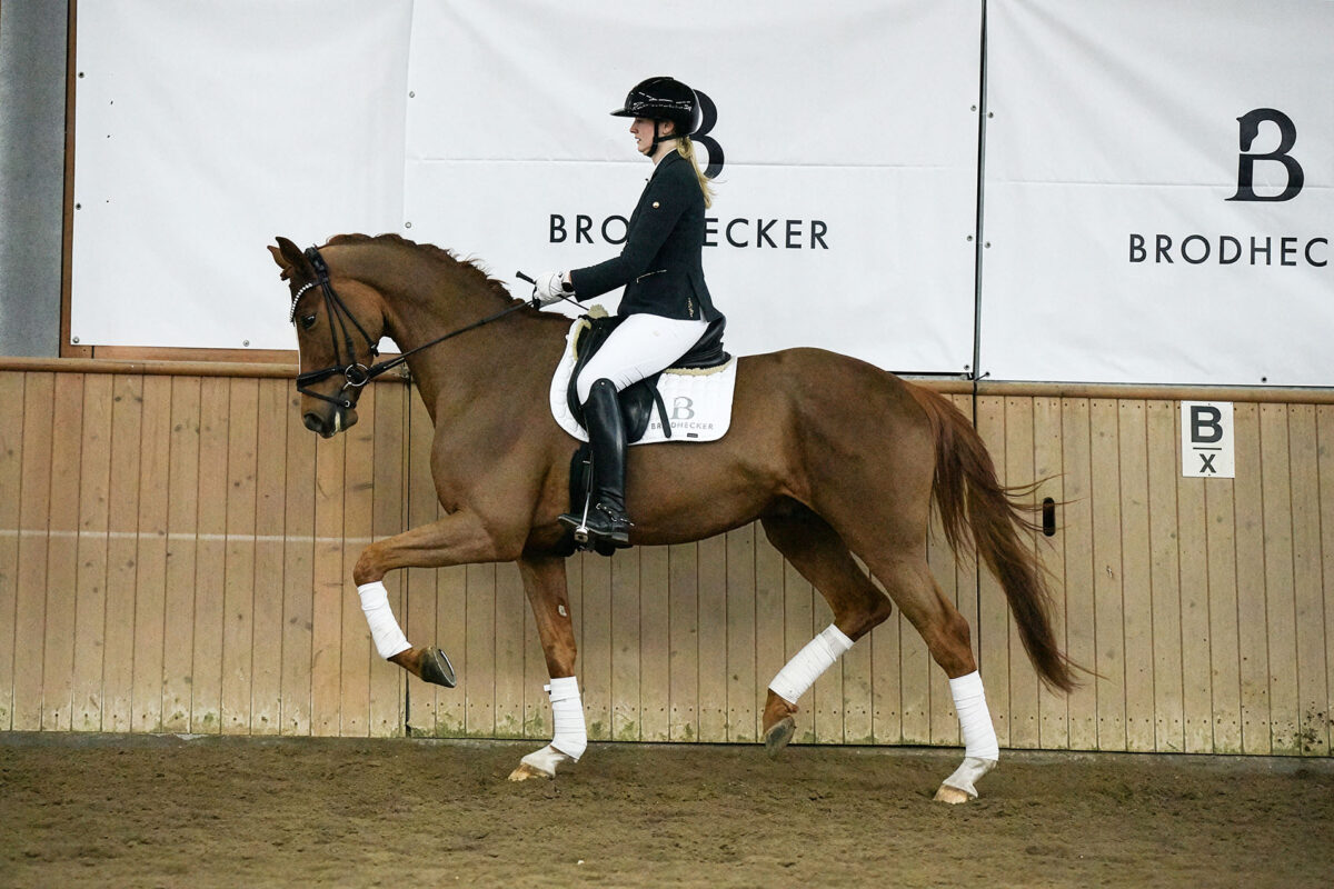 DSC 6305  scaled - Imperio