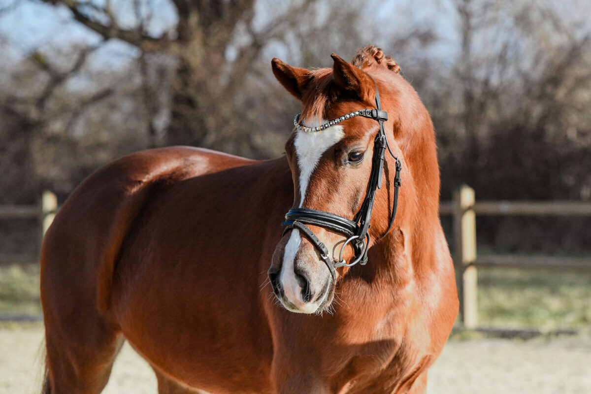 DSC 6334  scaled - Frederike