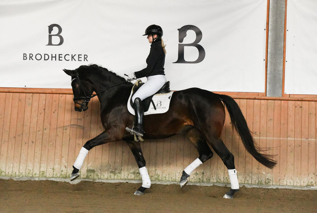 DSC 6897  scaled - Fleur d'Amour