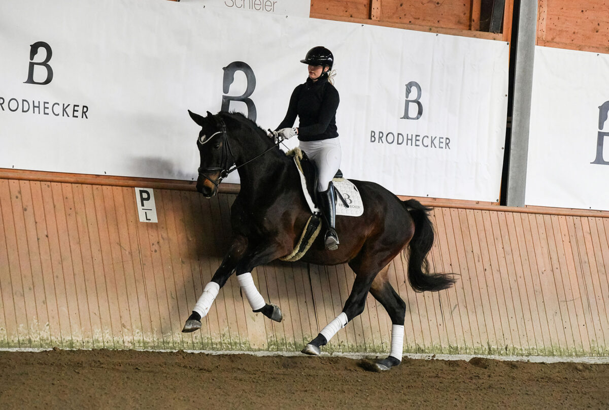 DSC 6949  scaled - Fleur d'Amour