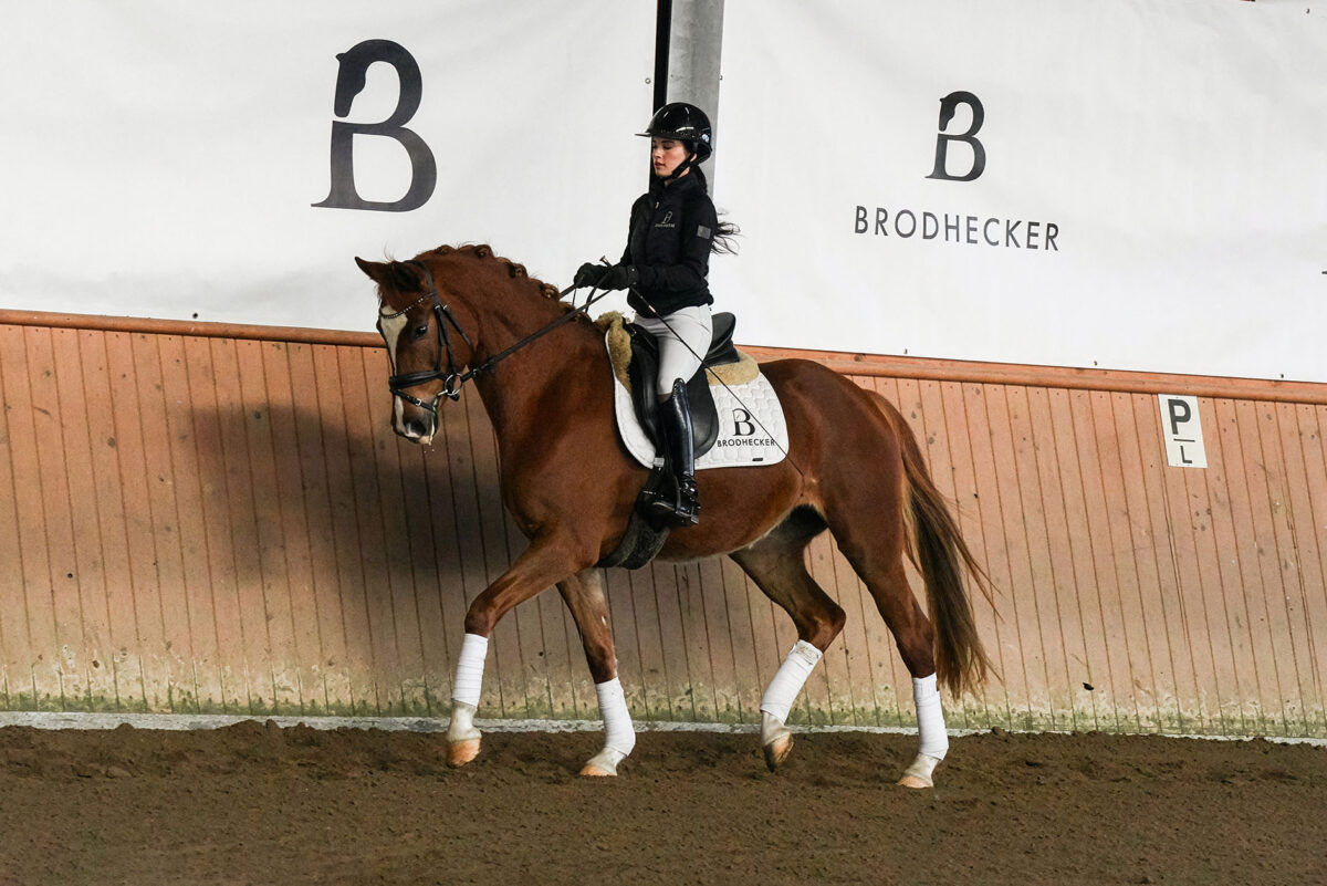 DSC 7226  scaled - Frederike