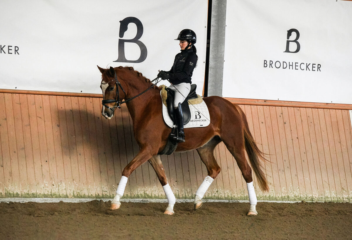 DSC 7426  scaled - Frederike