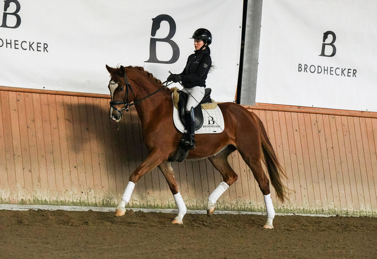 DSC 7635  scaled - Frederike