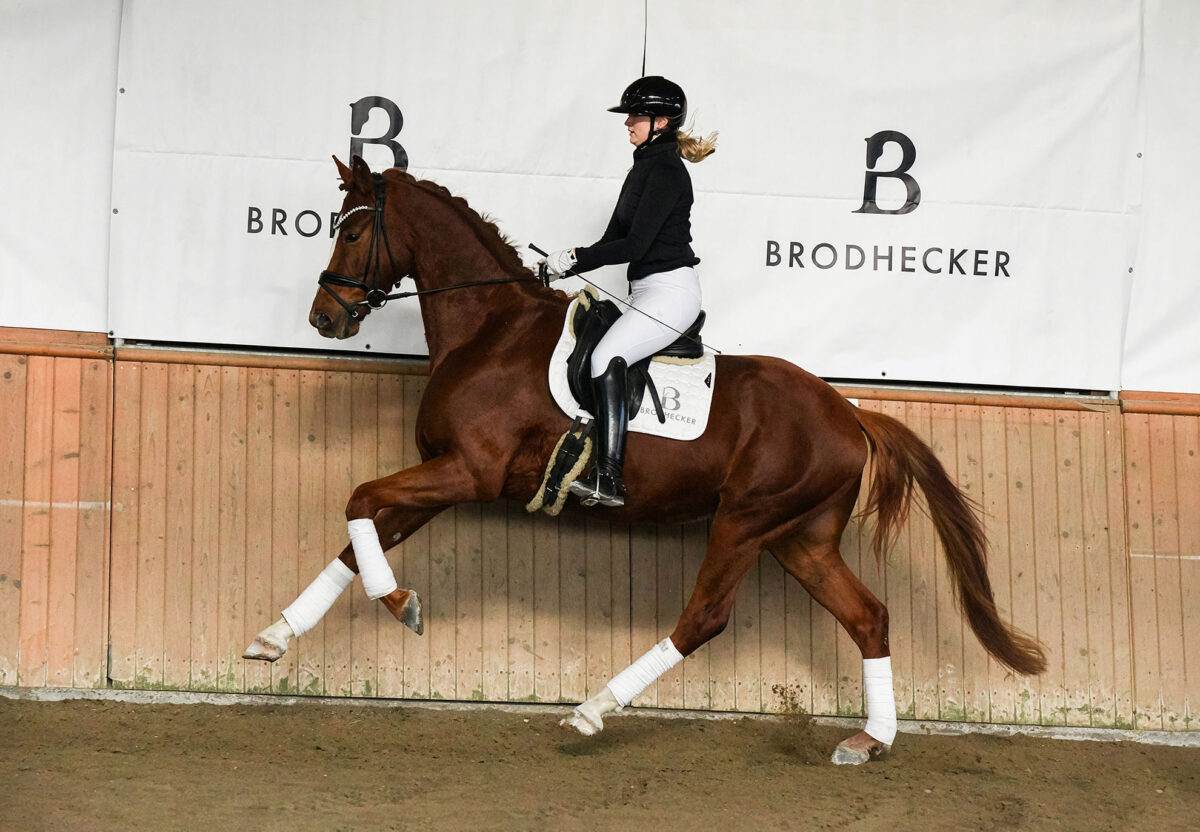 Imperio DSC 8531 scaled - Imperio