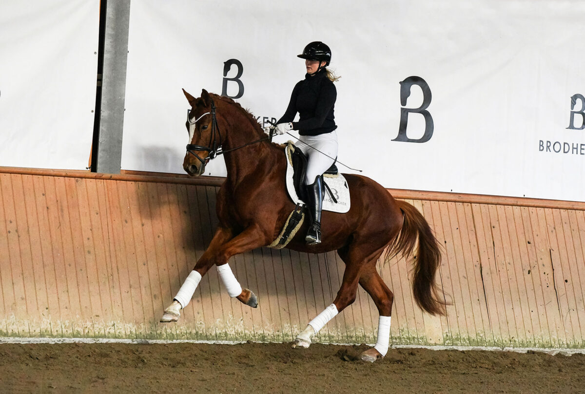 Imperio DSC 8547 scaled - Imperio