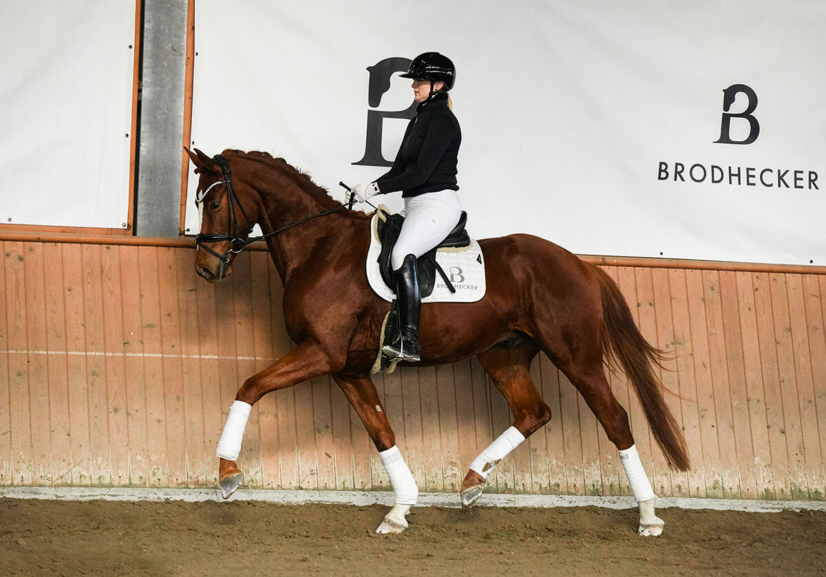 Imperio DSC 8863 scaled - Imperio