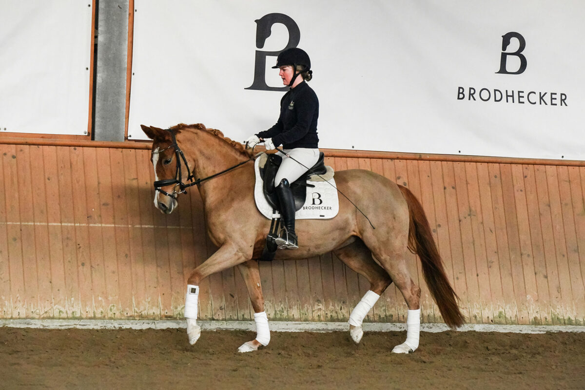 DSC 9238  scaled - Mary Fine (RP)