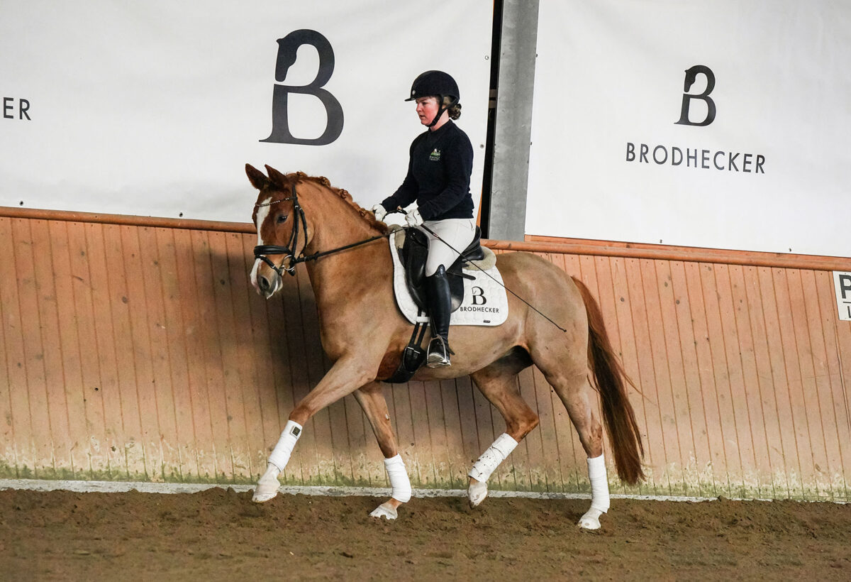 DSC 9272  scaled - Mary Fine (RP)