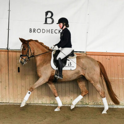 DSC 9286 scaled 400x400 - Sportpferde