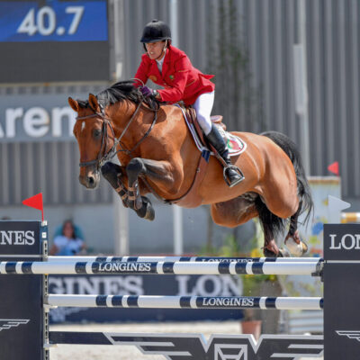 Camargo Budapest 18   CZO1634 www.lovasfoto scaled 400x400 - Hengste