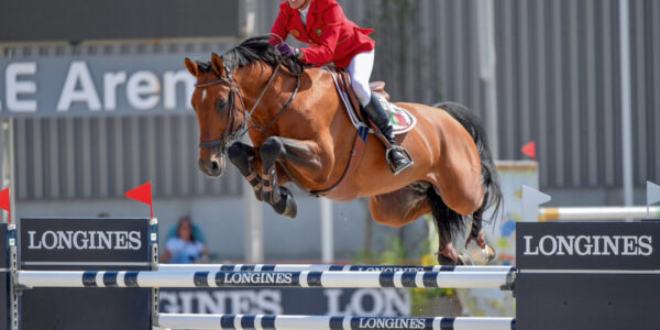 Camargo Budapest 18   CZO1634 www.lovasfoto scaled 600x300 - Home