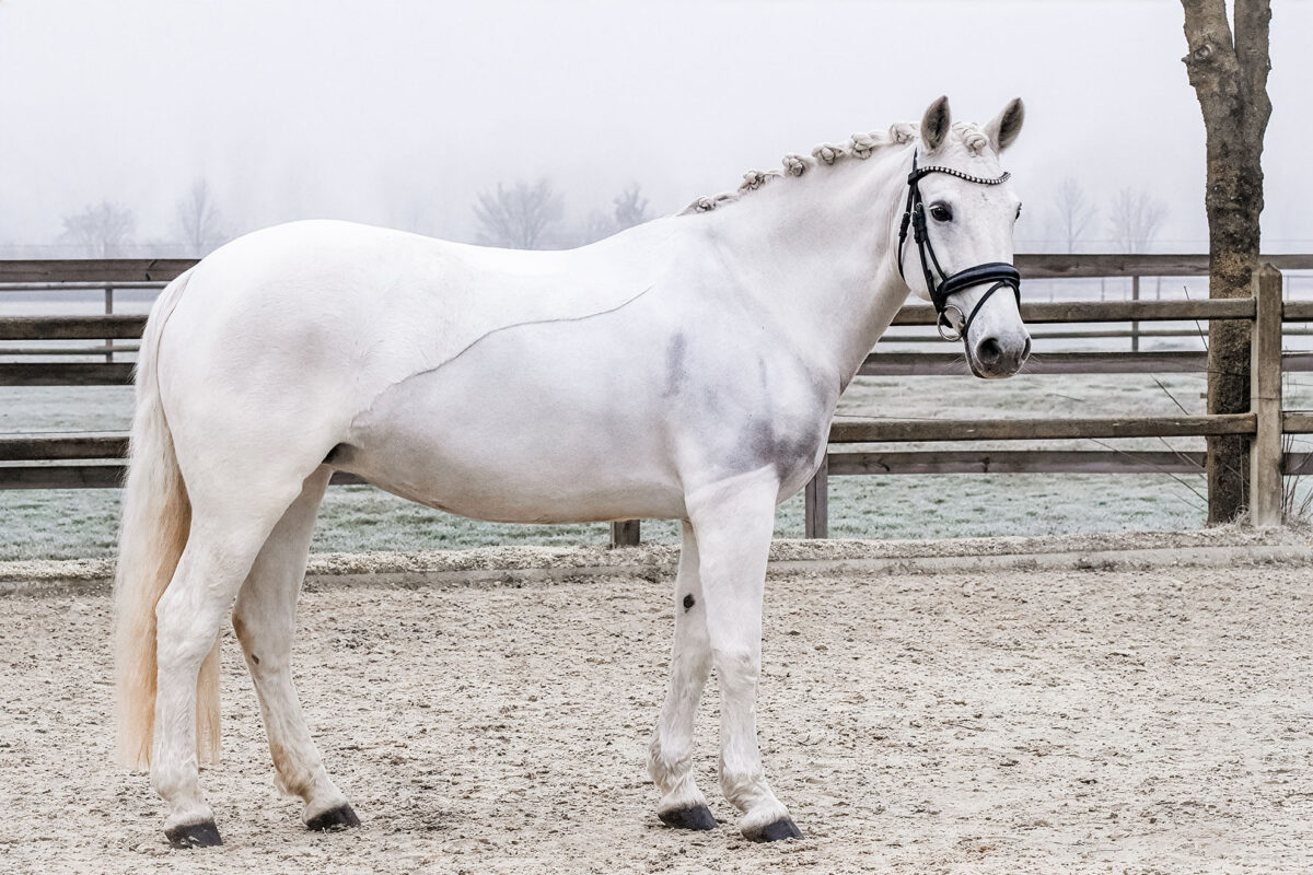 Missy DSC 3909 scaled - Missy