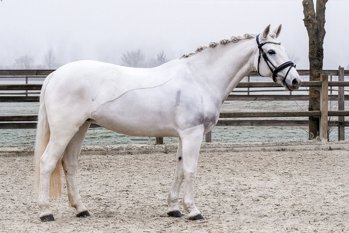 Missy DSC 3924 scaled - Missy