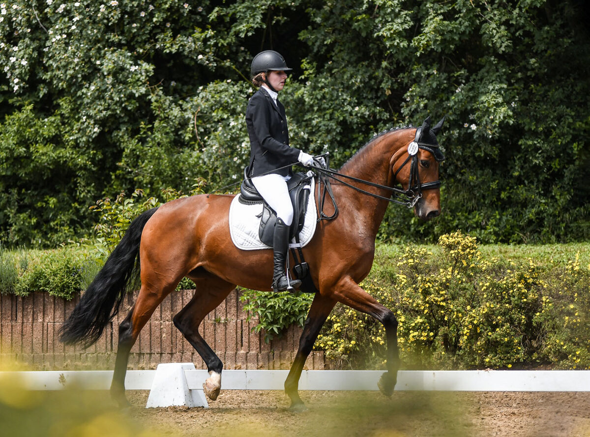 IMG 3378 scaled - Lucy