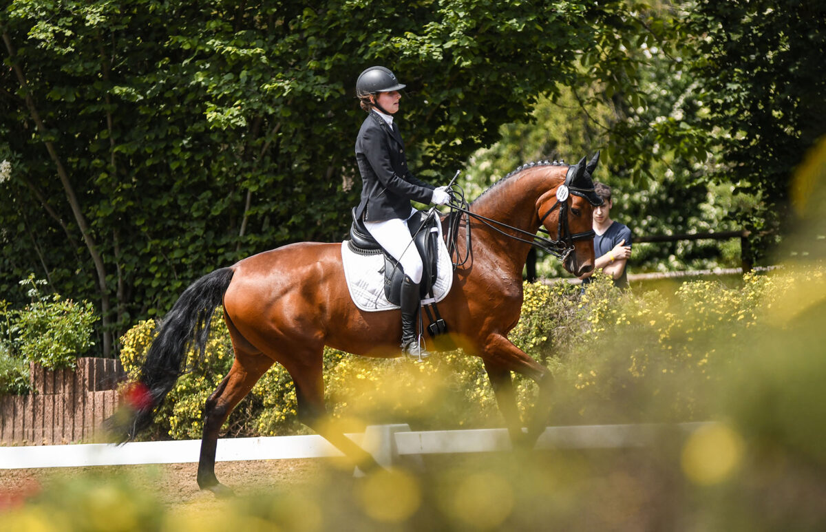 IMG 3380 2 scaled - Lucy