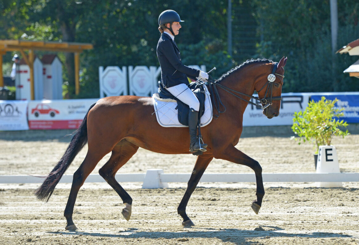 IMG 6627 2 scaled e1771516278791 - Lucy