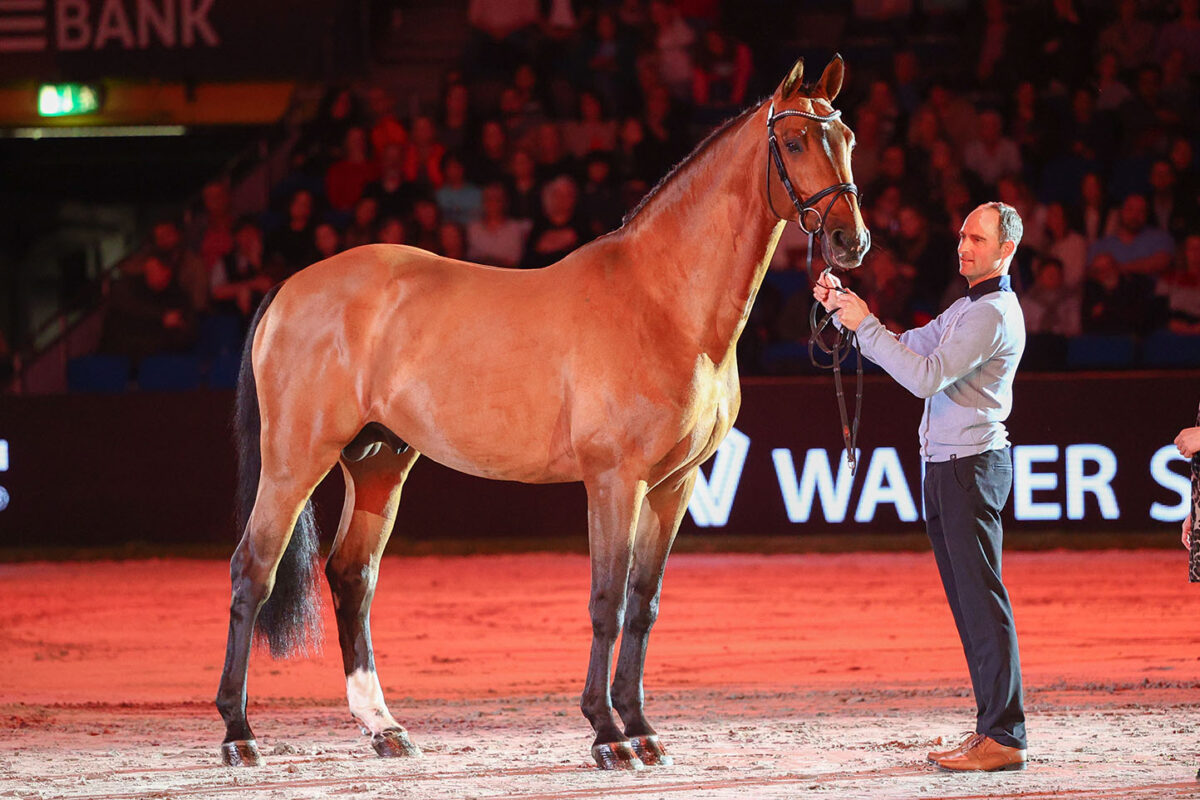 Camargo LLFF6070 scaled - Camargo