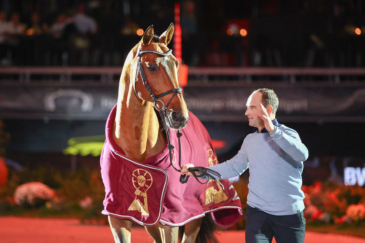 Camargo LLFF6138 scaled - Camargo