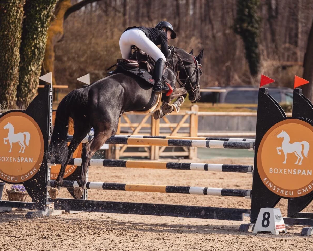 Don't forget me 5b0cc980 d557 41c9 a5ba 4e621836b6f8 400 - Don't forget me