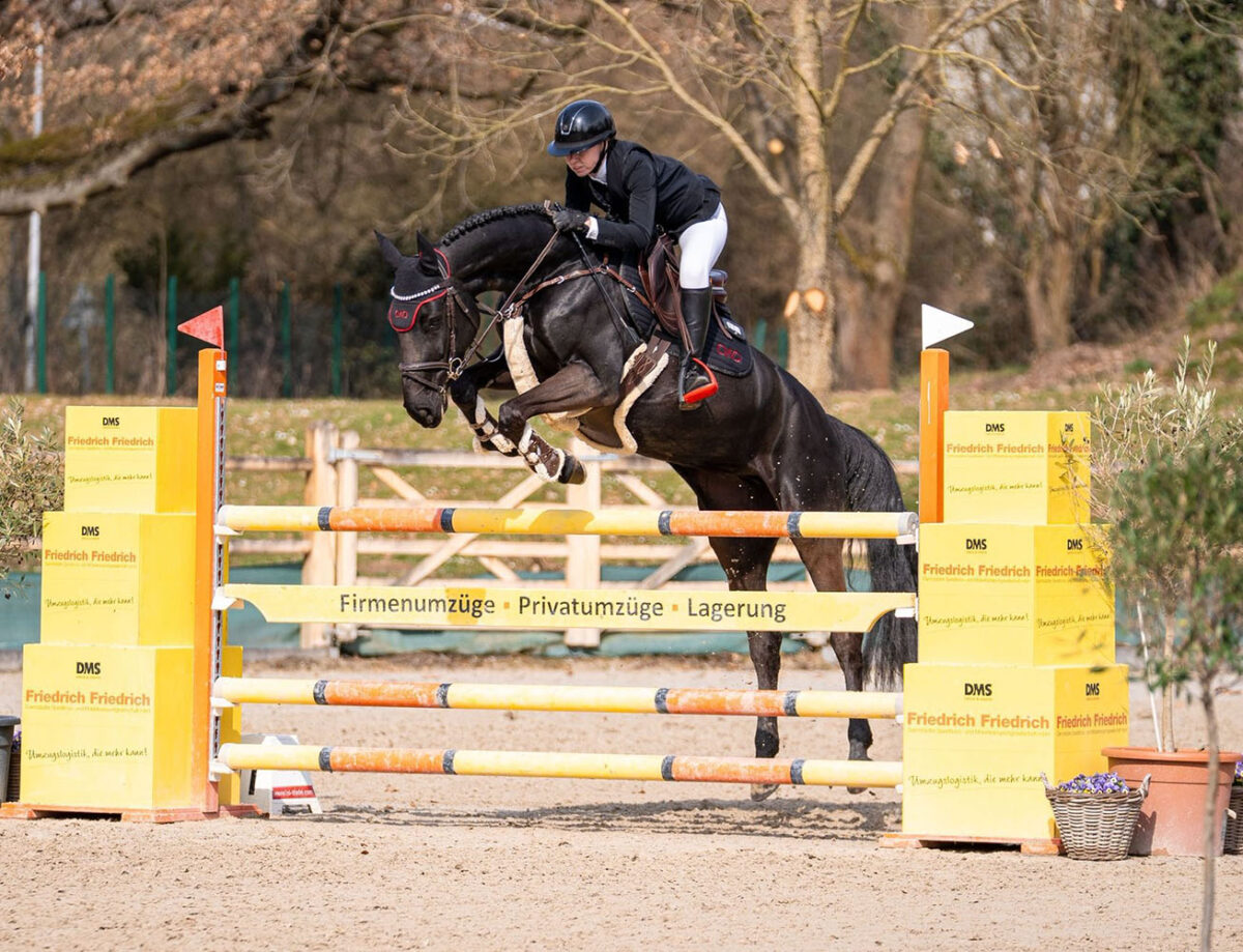 Don't forget me 8b808db7 55ca 4588 a5f5 26849e27c1d5 scaled - Don't forget me