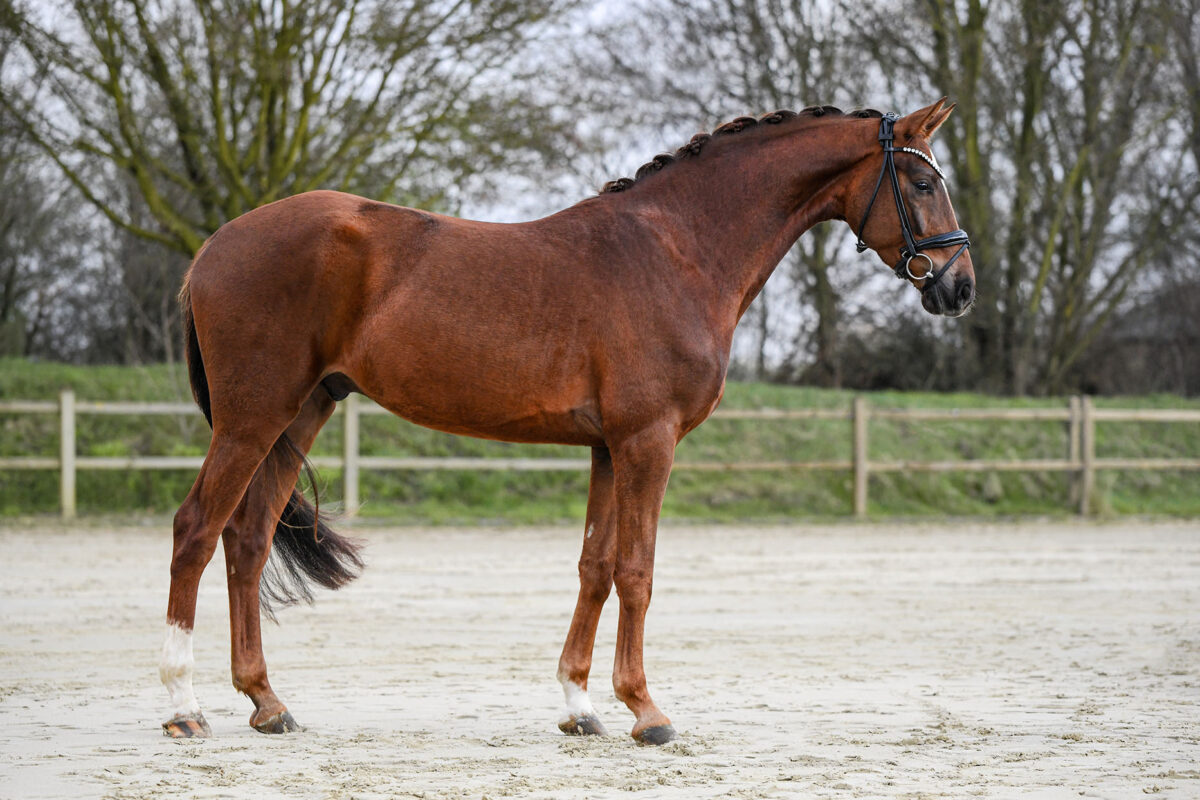 DSC 1930  scaled - Santiago