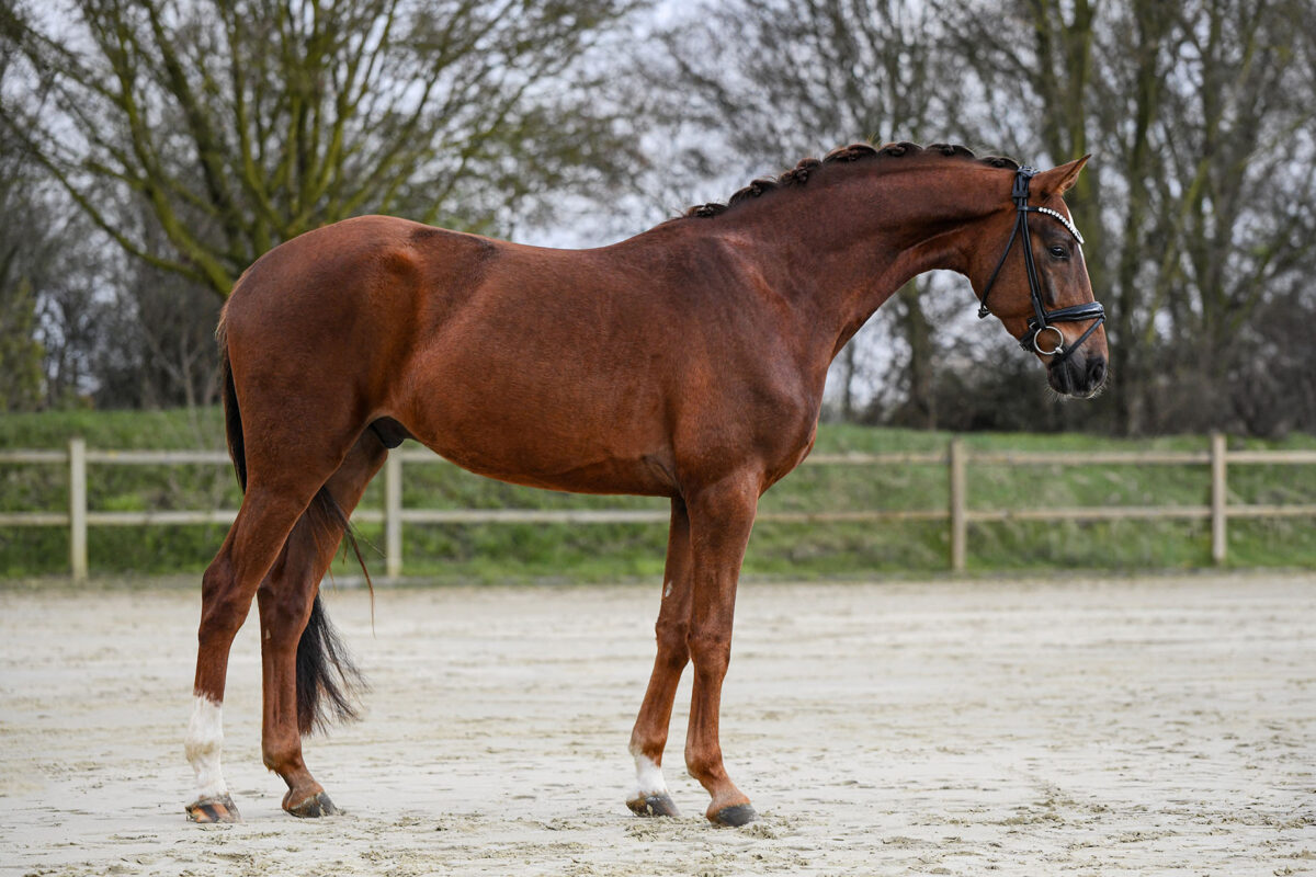 DSC 1933  scaled - Santiago