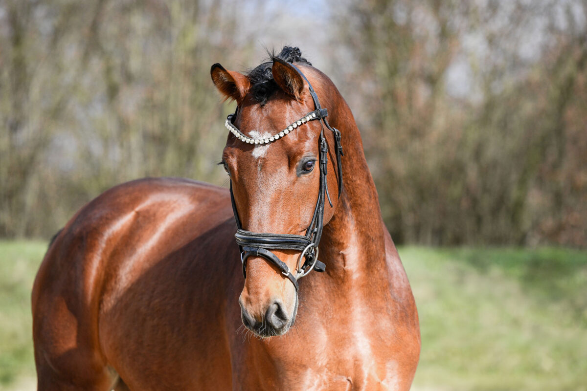 DSC 2534  scaled - Beach Boy