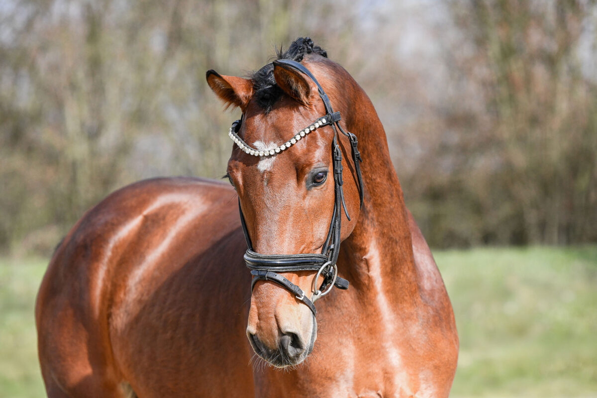 DSC 2538  scaled - Beach Boy