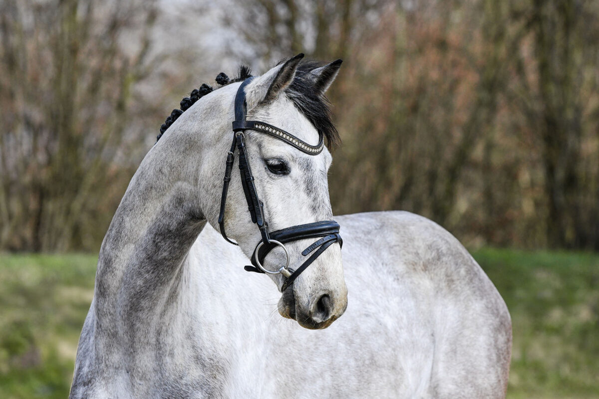 DSC 2599 scaled - Candy