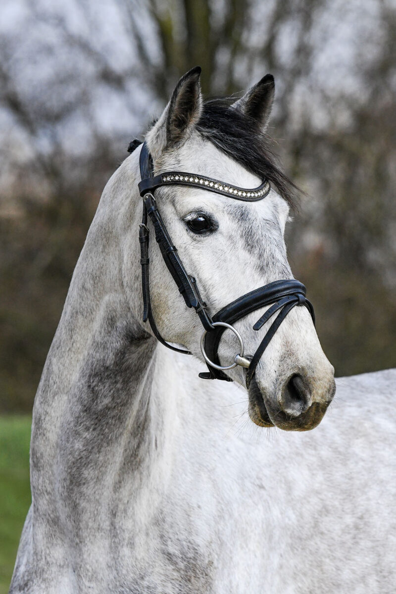 DSC 2616 scaled - Candy