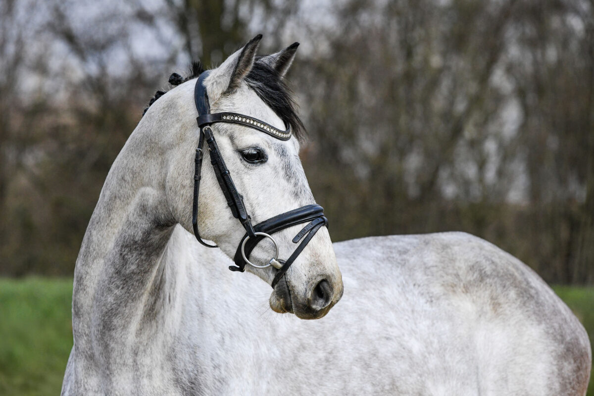 DSC 2621  scaled - Candy