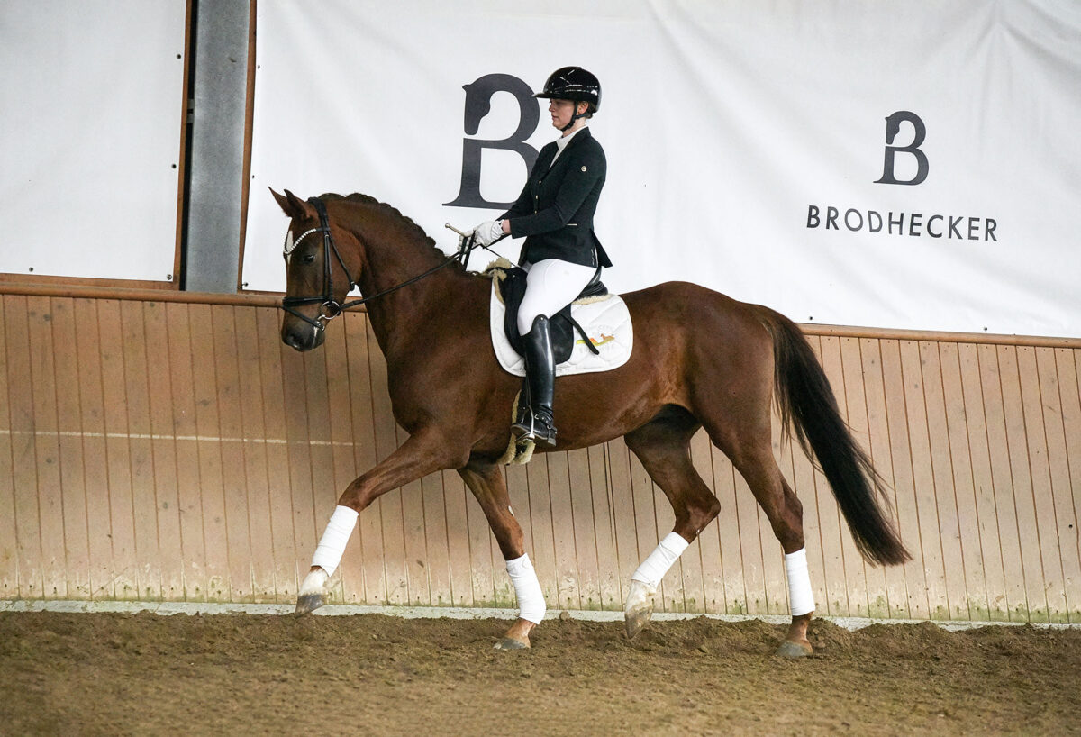 DSC 2966  scaled - Santiago