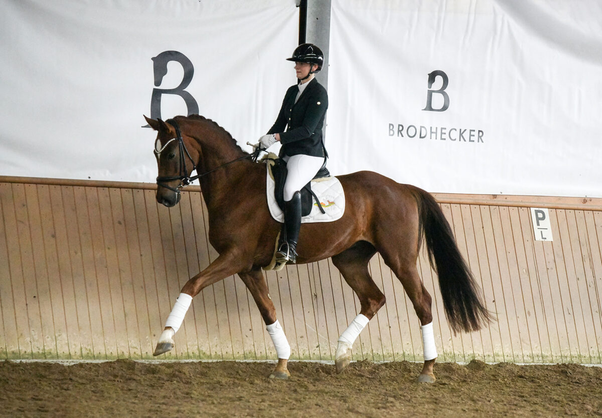 DSC 3002  scaled - Santiago