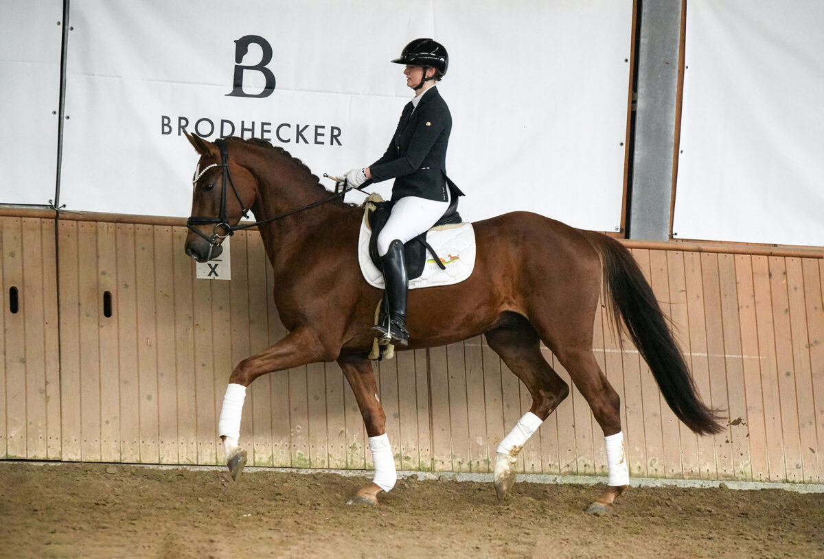DSC 3149  scaled - Santiago