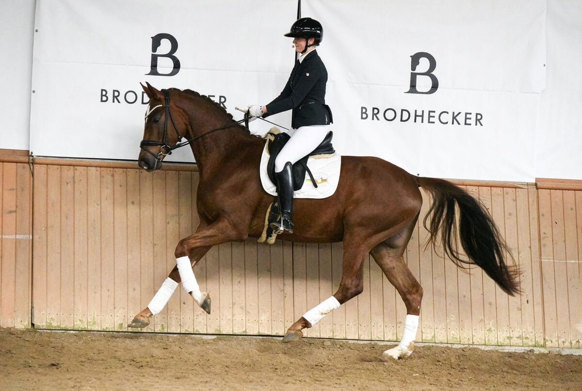 DSC 3190  scaled - Santiago