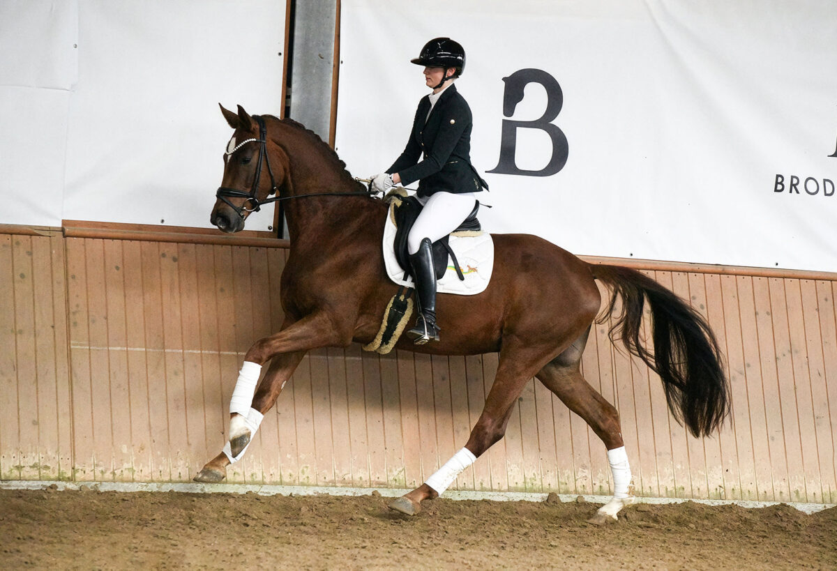DSC 3217  scaled - Santiago