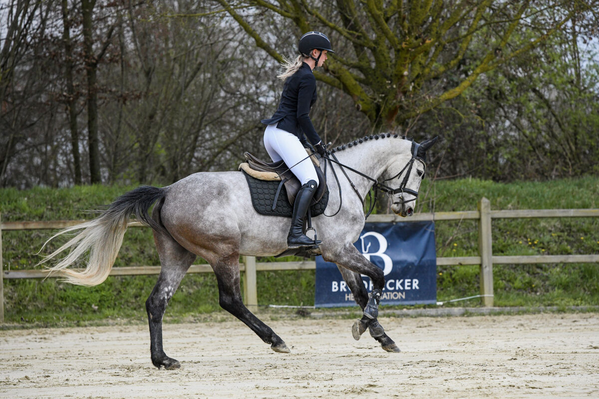 DSC 3369  scaled - Candy