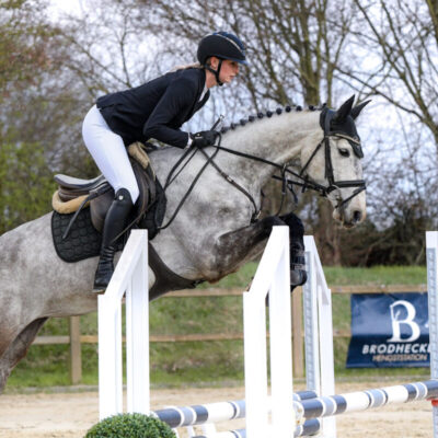 Sportpferde DSC 3998 scaled 400x400 - Sportpferde