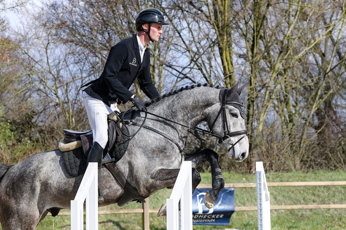 DSC 4021  scaled - Cheat Code