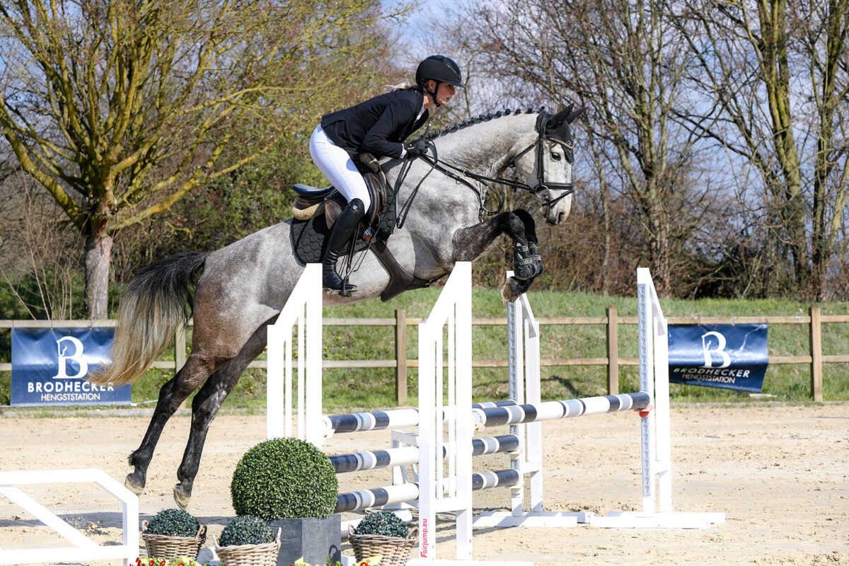 DSC 4034  scaled - Candy