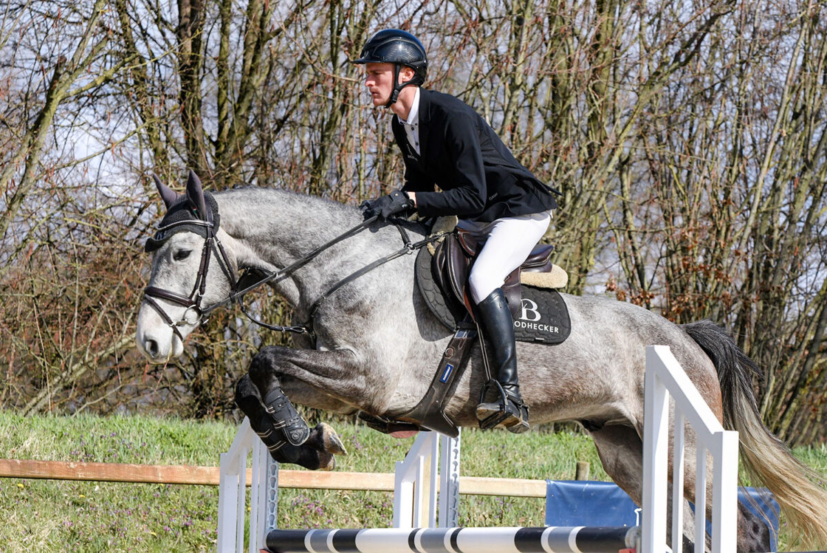 DSC 4059  scaled - Cheat Code