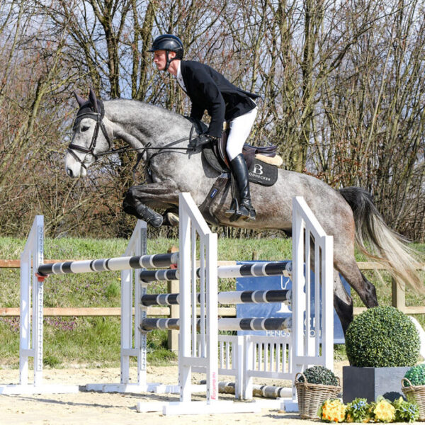 DSC 4070  v2 scaled 600x600 - Home