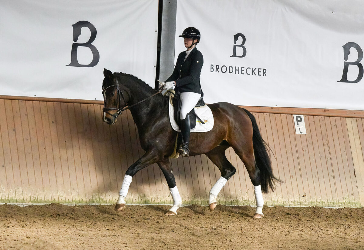 DSC 4277  scaled - Sir Henry