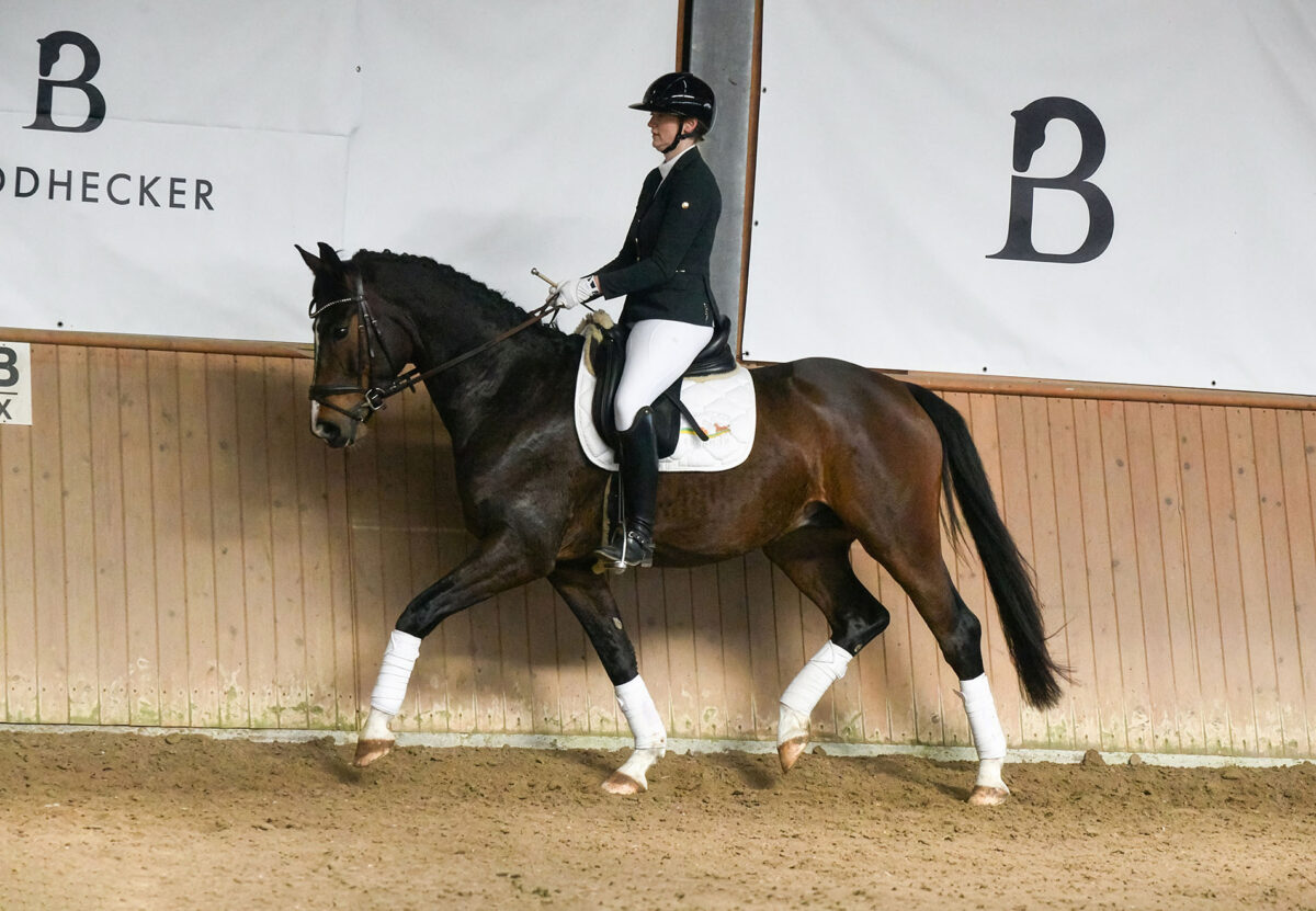 DSC 4288  scaled - Sir Henry