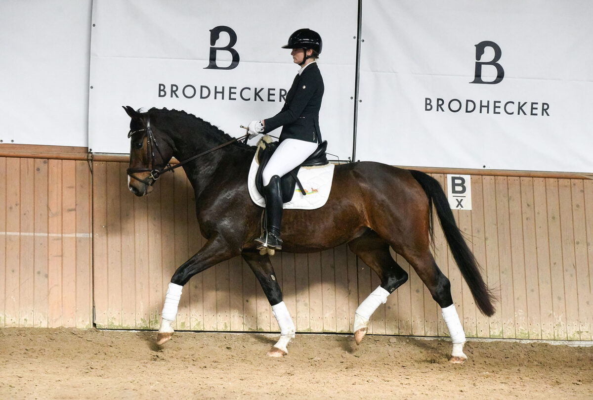 DSC 4307  scaled - Sir Henry