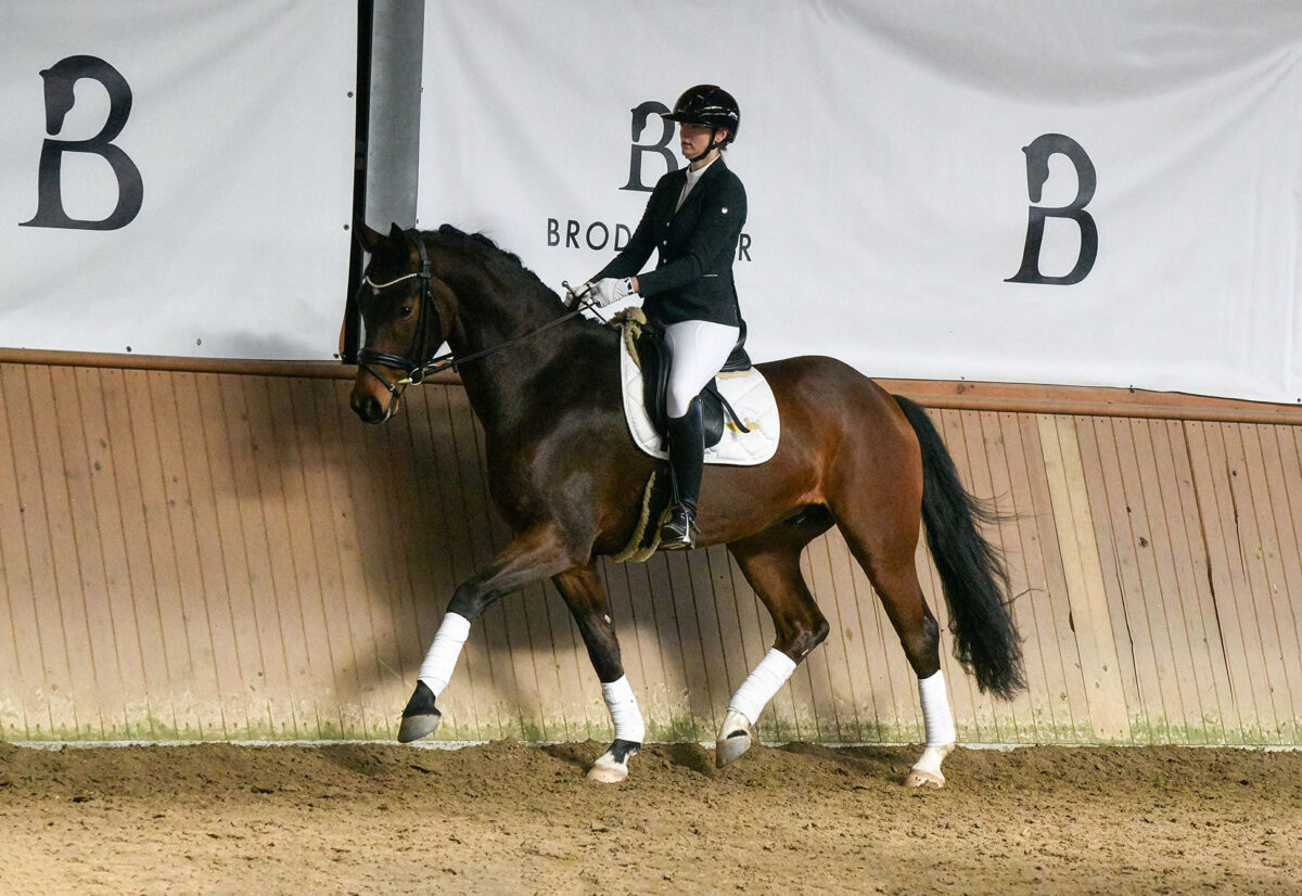 DSC 4633  scaled - Ferdinand