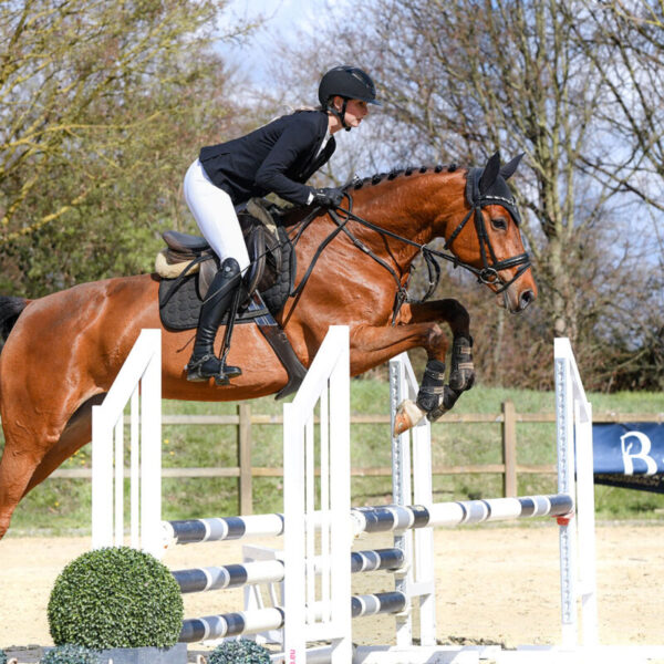 DSC 4919  scaled 600x600 - Home